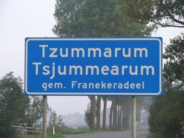 Tzummarum The Frisian Beach House Met Scandinavische Barrel Saunaヴィラ エクステリア 写真